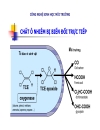 Công nghệ sinh học môi trường