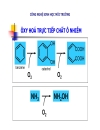 Công nghệ sinh học môi trường