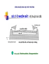 Công nghệ sinh học môi trường