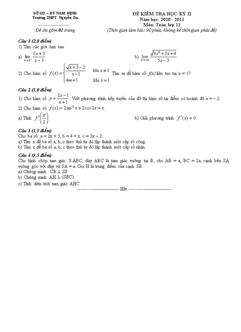 Đề thi HK2 môn Toán THPT Nguyễn Du Nam Định 2011