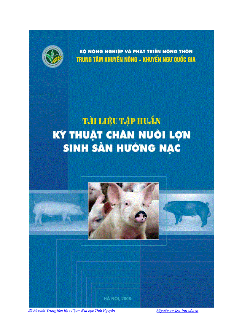 Kỹ thuật chăn nuôi lợn sinh sản hướng nạc