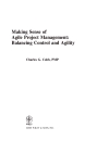 Making Sense of Agile Project Management Balancing Control and Agility