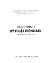 Giáo Trình Kỹ Thuật Trồng Rau