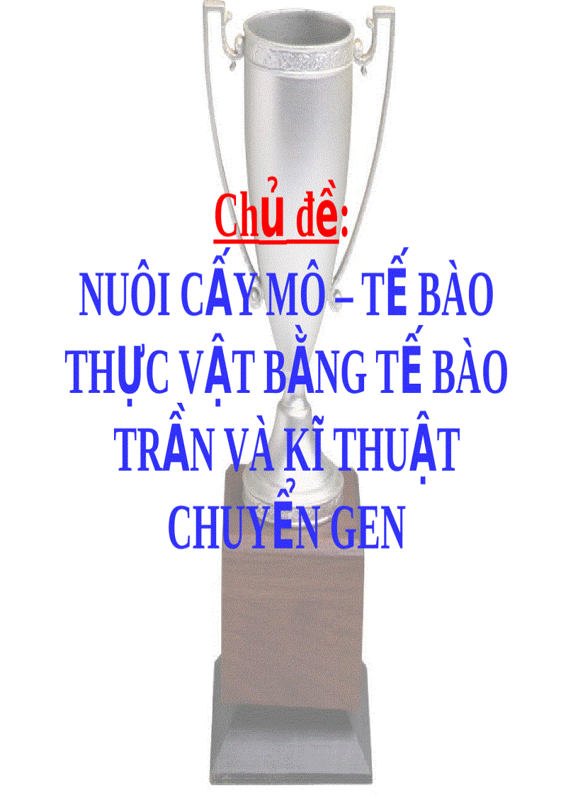 Bài giảng nuôi cấy mô tế bào thực vật bằng tế bào trần và kĩ thuật chuyển gen