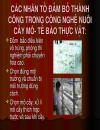 Bài giảng nuôi cấy mô tế bào thực vật bằng tế bào trần và kĩ thuật chuyển gen