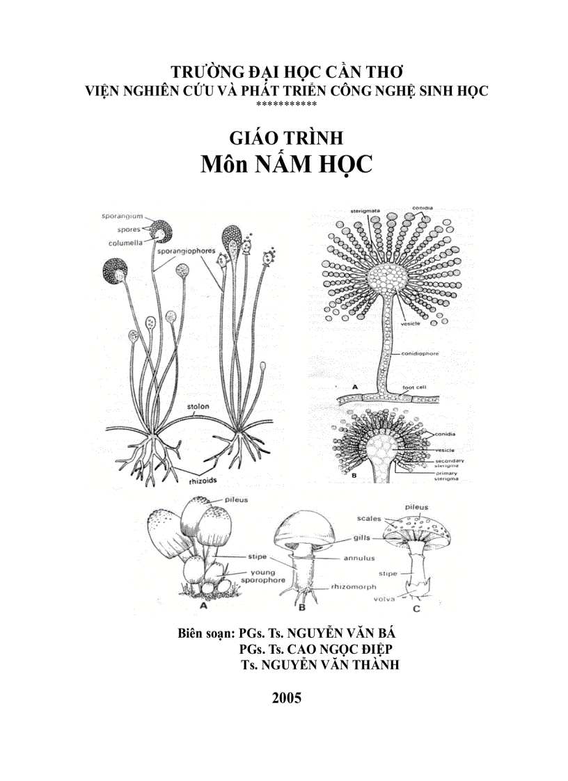 Giáo Trình Môn Nấm Học