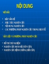 Đánh giá các yếu tố nguy cơ xuất hiện bệnh đốm trắng trên tôm sú