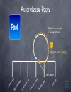 Stanford CS193p Developing Applications for iPhone 4 iPod Touch iPad Fall 2010 p6