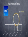 Stanford CS193p Developing Applications for iPhone 4 iPod Touch iPad Fall 2010 p6