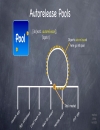 Stanford CS193p Developing Applications for iPhone 4 iPod Touch iPad Fall 2010 p6