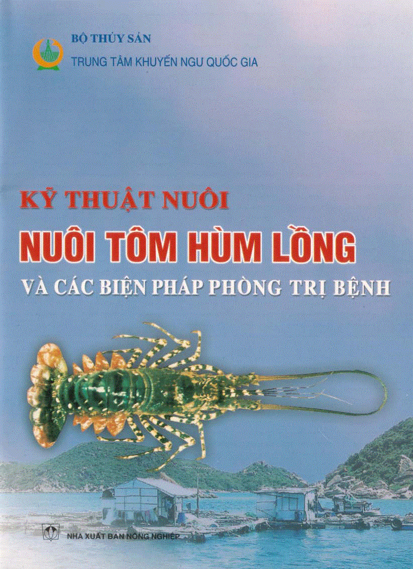 Kỹ thuật nuôi tôm hùm lồng và các biện pháp phòng trị bệnh