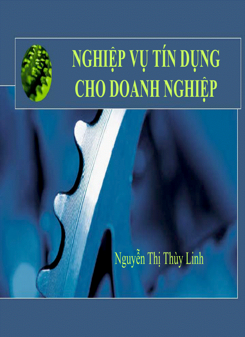 Nghiệp vụ tín dụng cho doanh nghiệp