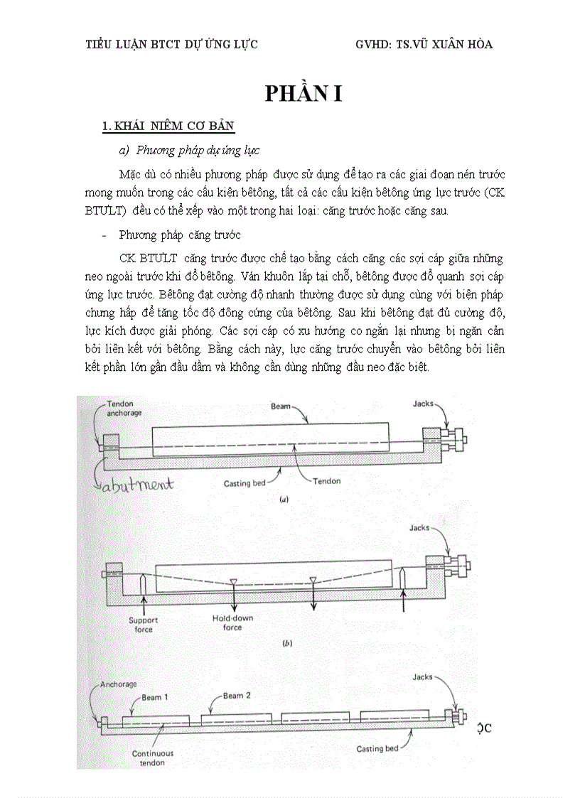 Btct dư ứng lực