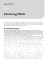 The Definitive Guide to SQLite