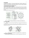 Giáo trình vật liệu 2 cấu tạo từng loại