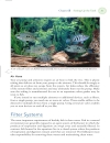 Freshwater Aquarium