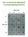 Chuyên đề 2 Auxin thuốc kích thích tăng trưởng thực vật