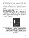 Ứng dụng qui trình pcr đa mồi phát hiện đồng thời ba loài vi khuẩn Edwardsiella ictaluri Aeromonas hydrophila và Flavobacterium columnare