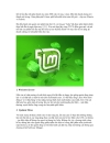 Linux Mint 10 nàng Julia mới