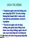 Thuốc trừ cỏ Confore 480AS Glyphosate isopropylamin salt