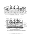 Wetland An introduction