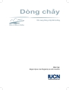 Dòng chảy