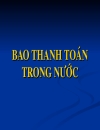 Bao thanh toán trong nước 1