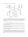 Designing Large Scale LANs