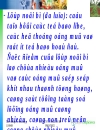 Giới thiệu chung về cây cao su