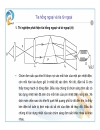 Tia Tử Ngoại Lê Việt Hòa