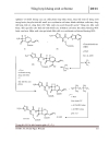Tổng hợp kháng sinh cefixime