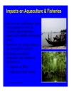 Climate change and impacts in Viet Nam