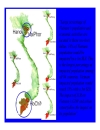 Climate change and impacts in Viet Nam