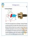 Tia Rơn Ghen Lê Việt Hòa