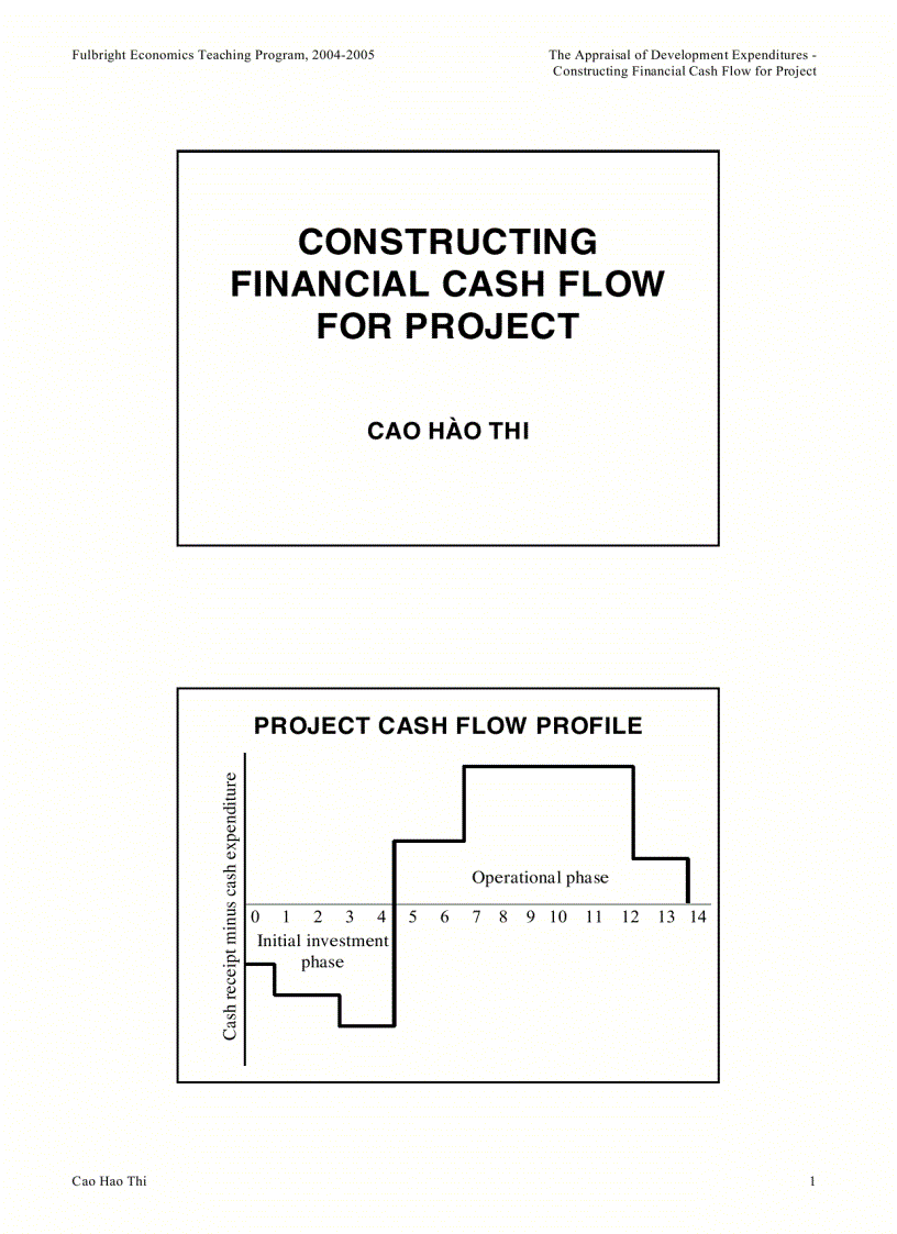 Financial cash flow for project