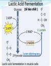 Biochemistry