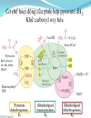 Biochemistry