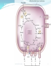 Biochemistry