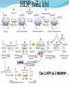 Biochemistry