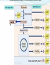 Biochemistry