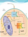 Biochemistry