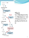 Biochemistry