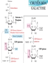 Biochemistry