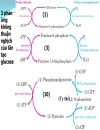 Biochemistry