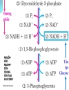 Biochemistry