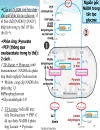 Biochemistry