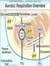 Biochemistry