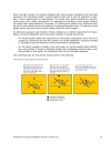 Development of indicators on consumer satisfaction and Pilot survey