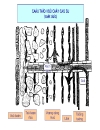 Kỹ thuật cạo mũ cao su 1