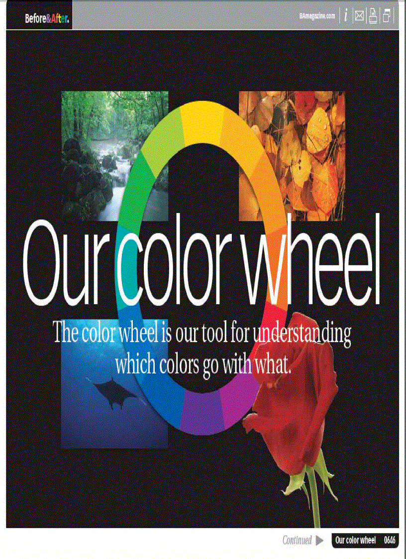 Our color wheel